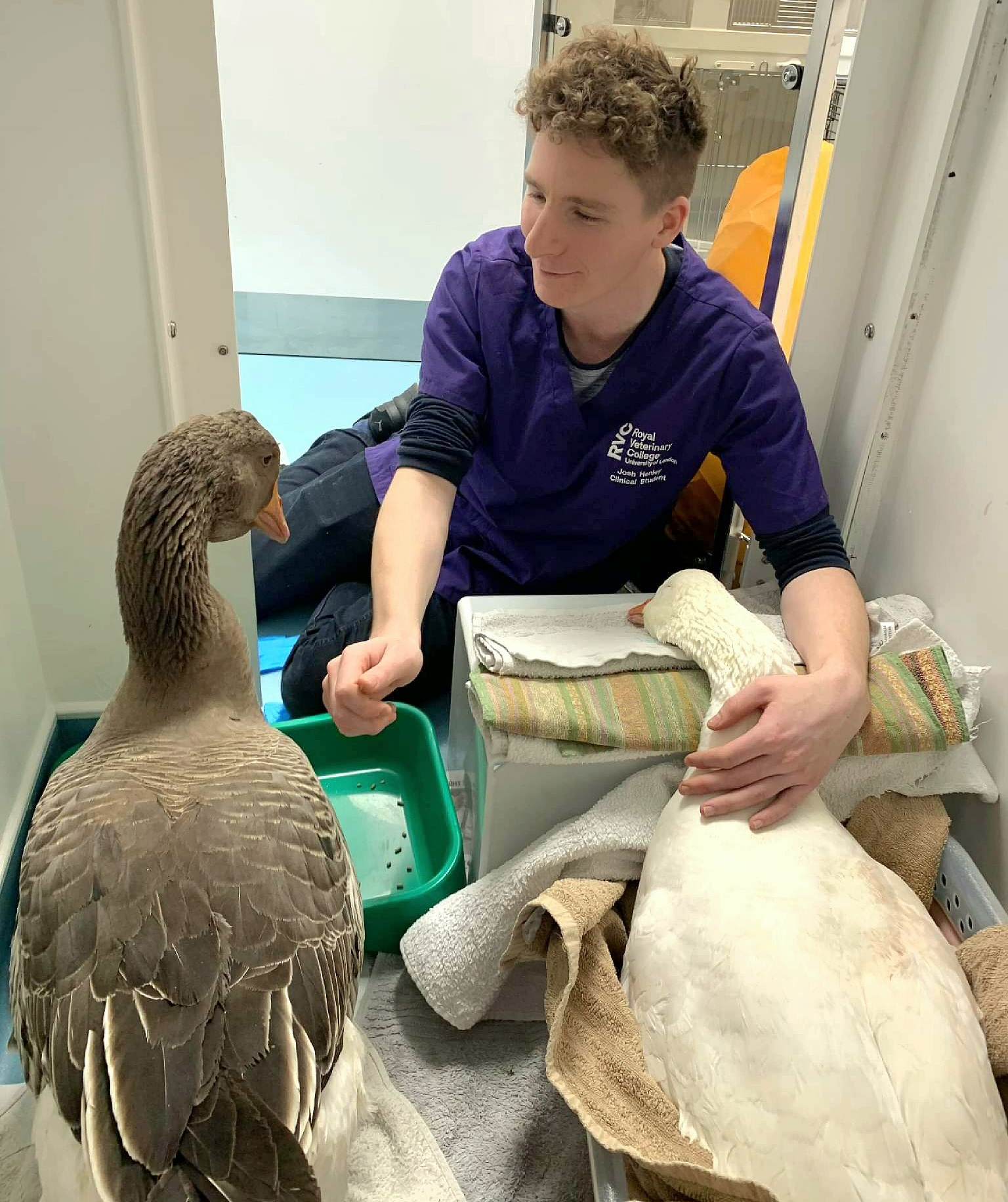 Josh with a pair of geese