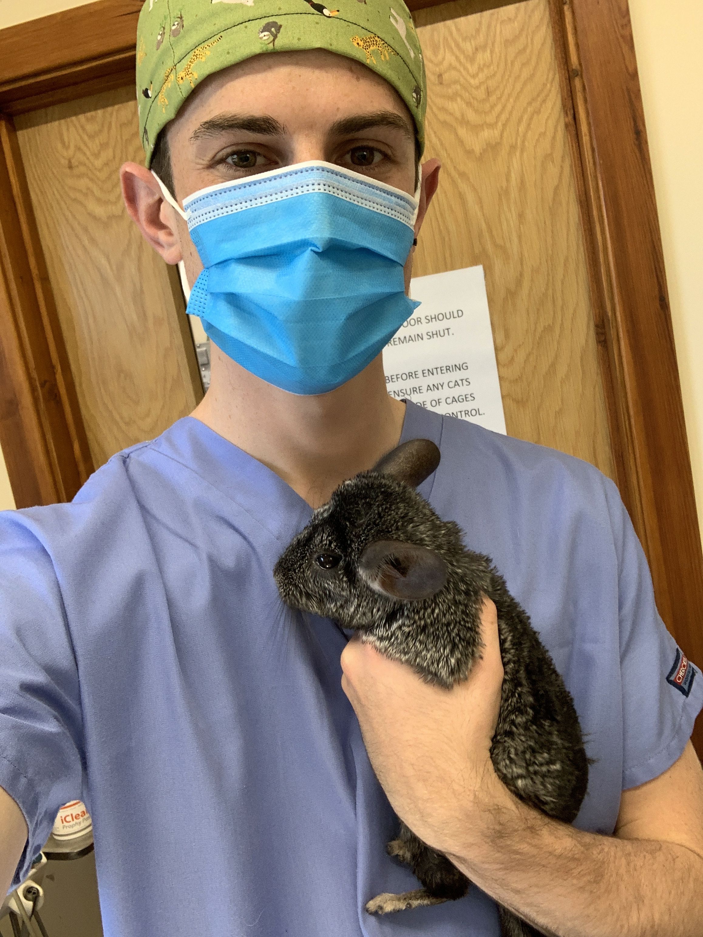 Sam holding a chinchila