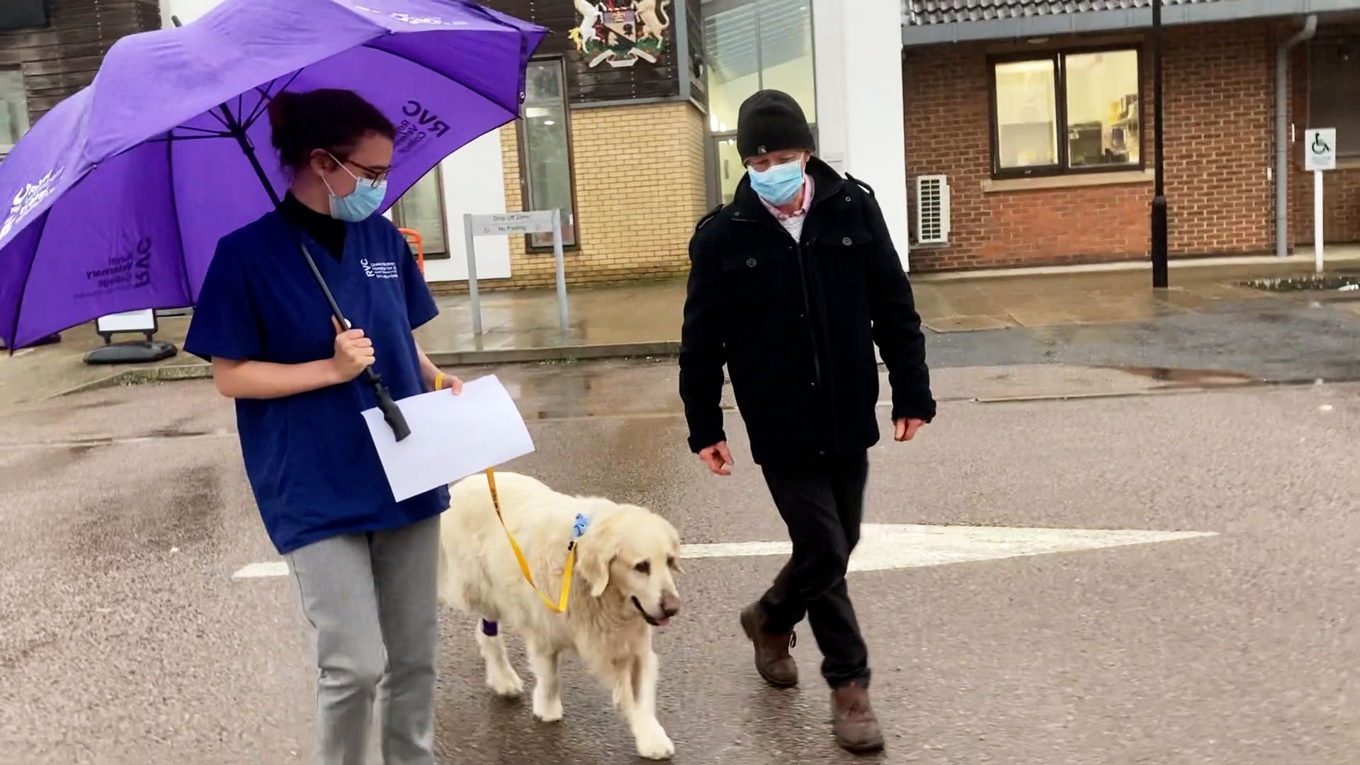 Charlie walks out of hospital with the vet and his owner