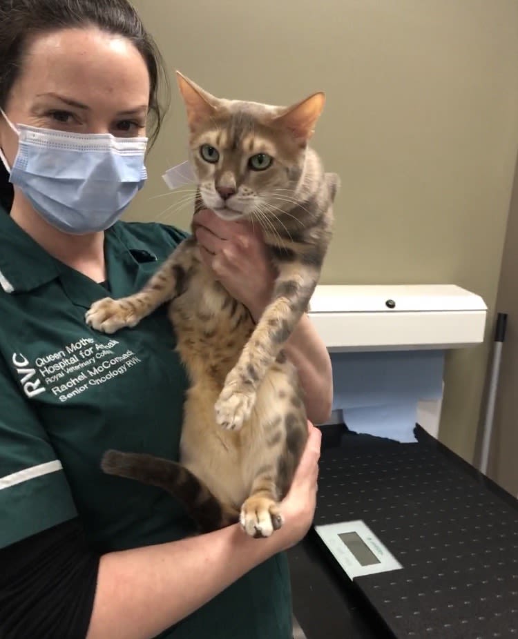 Luther with Rachel, a Senior Oncology Nurse