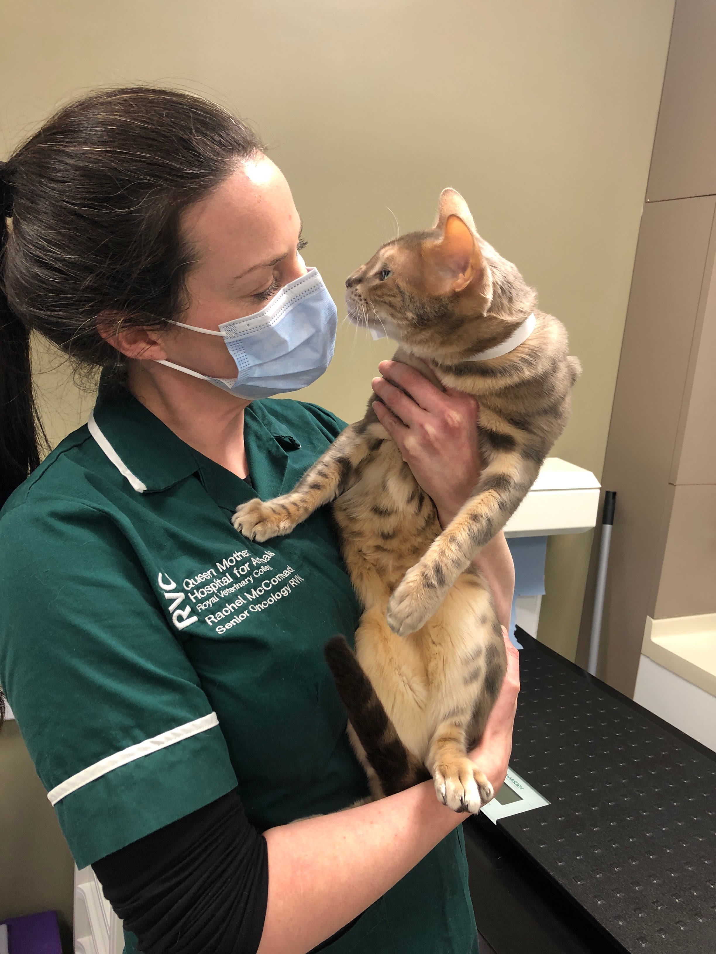 Luther being held by rachel, a Senior Oncology Nurse
