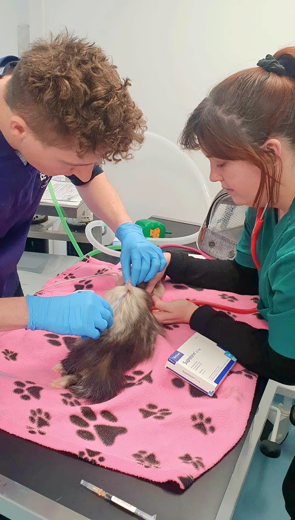 Josh treats a patient with a colleague