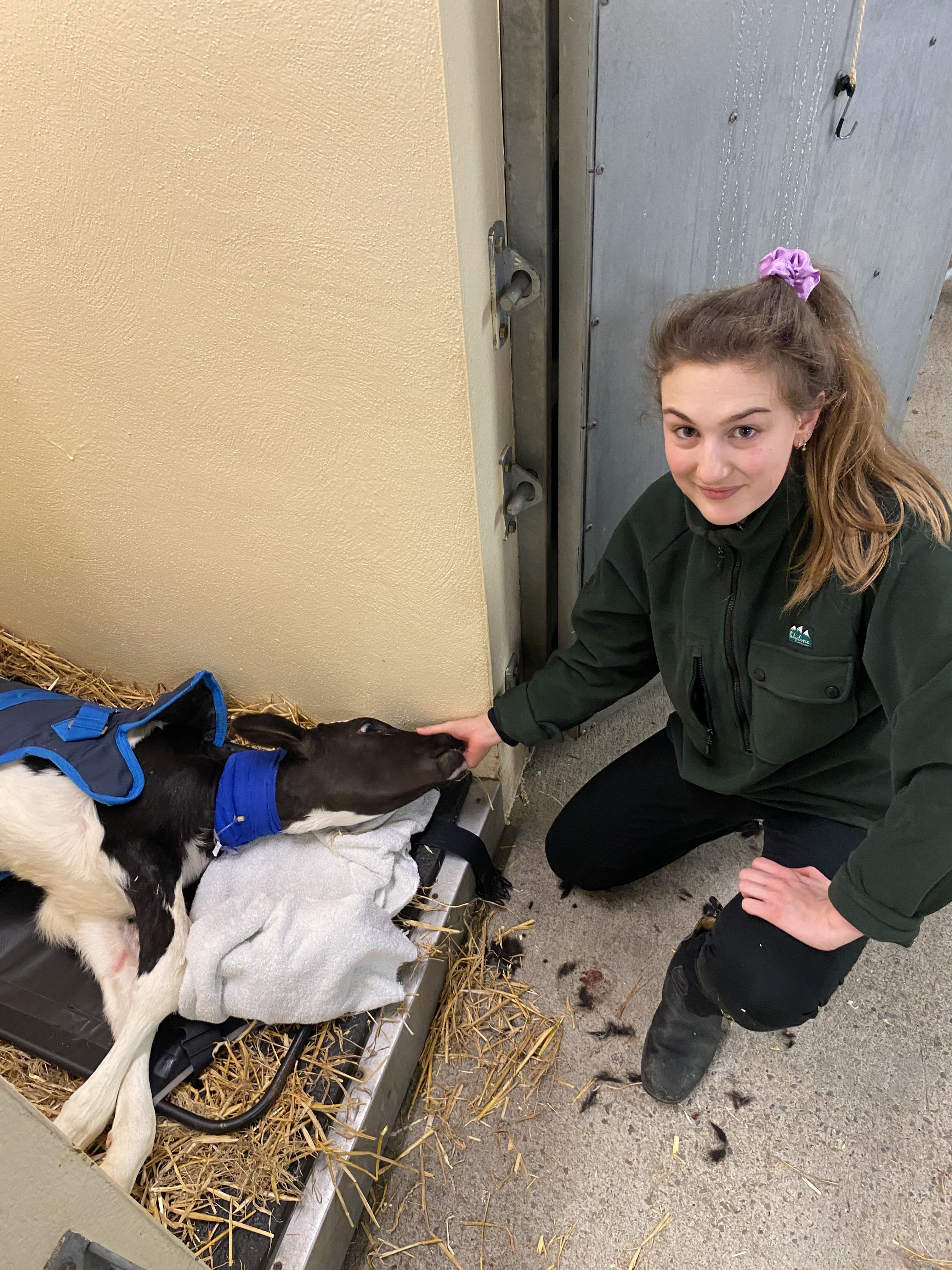 Natalie with a calf