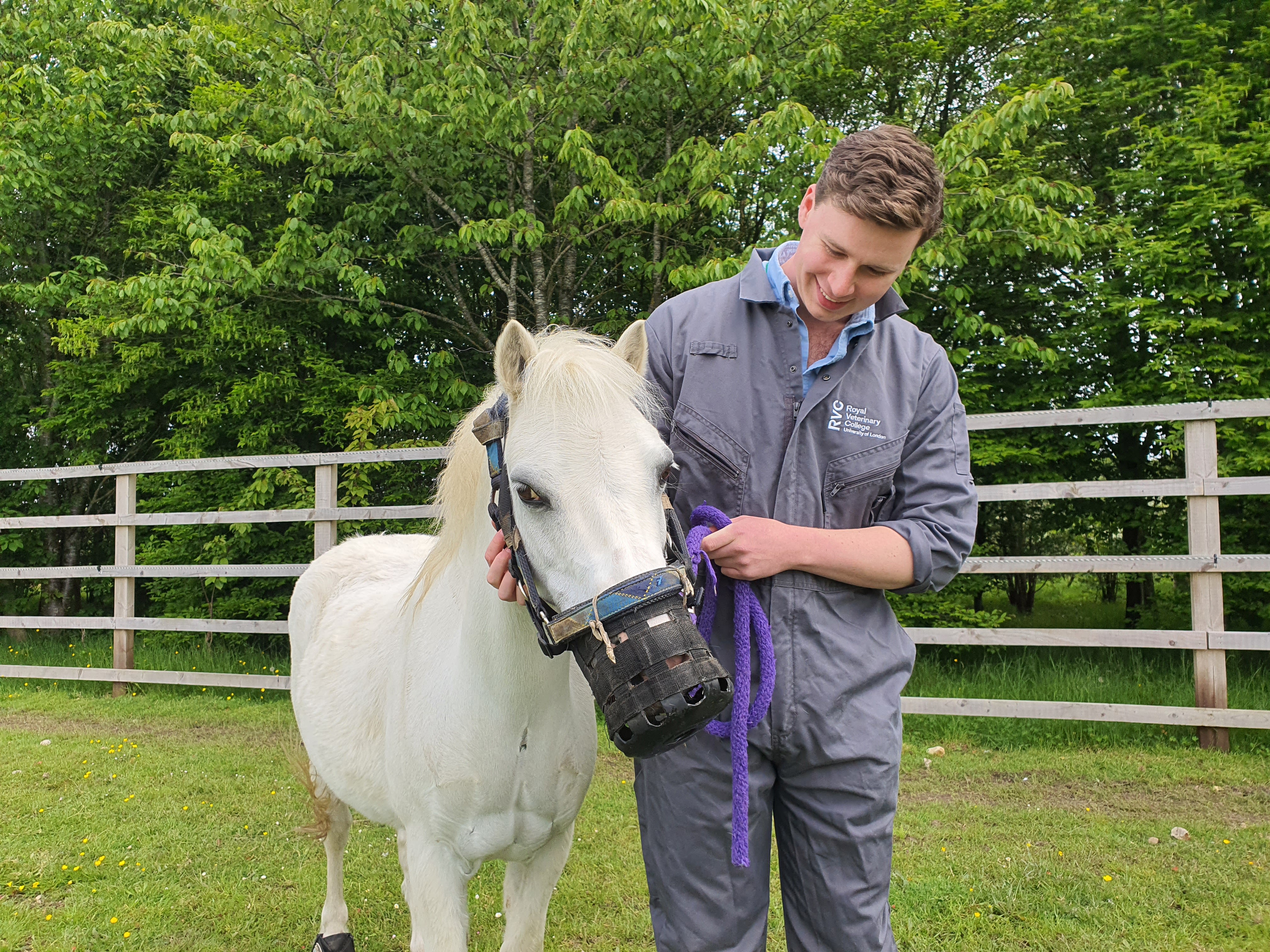 Joe with a white horse