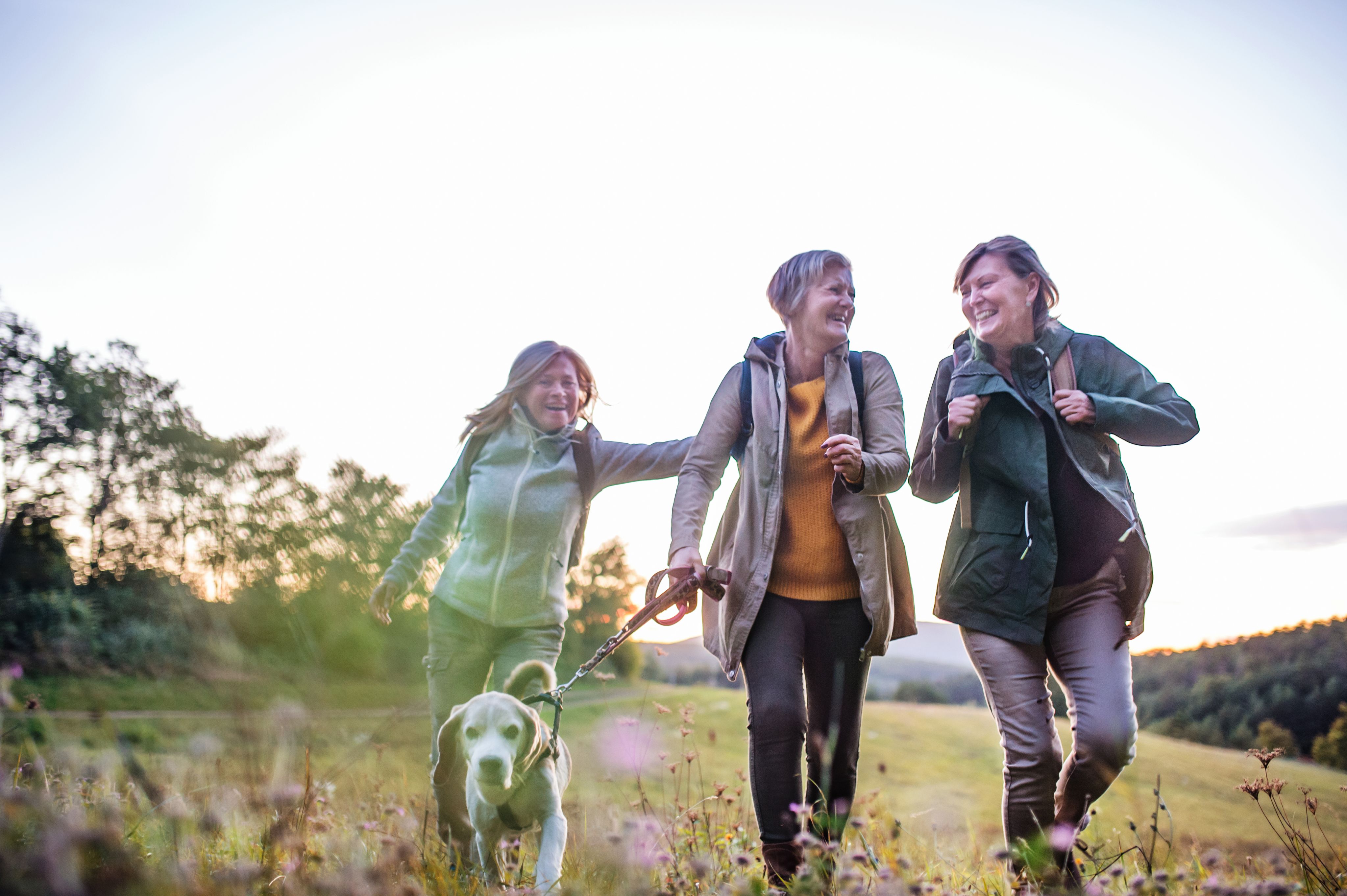 Three women walk a dog over the hills