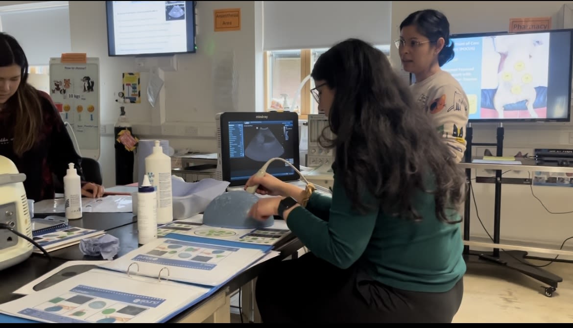 A student uses the ultrasound