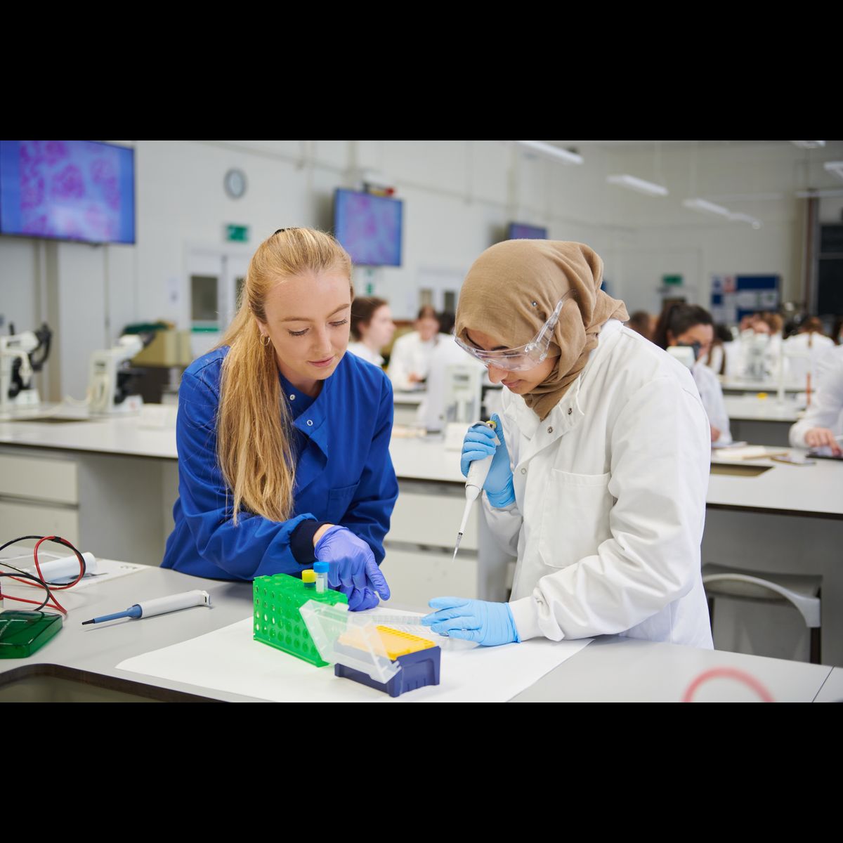 Welcome 2025 First Weeks