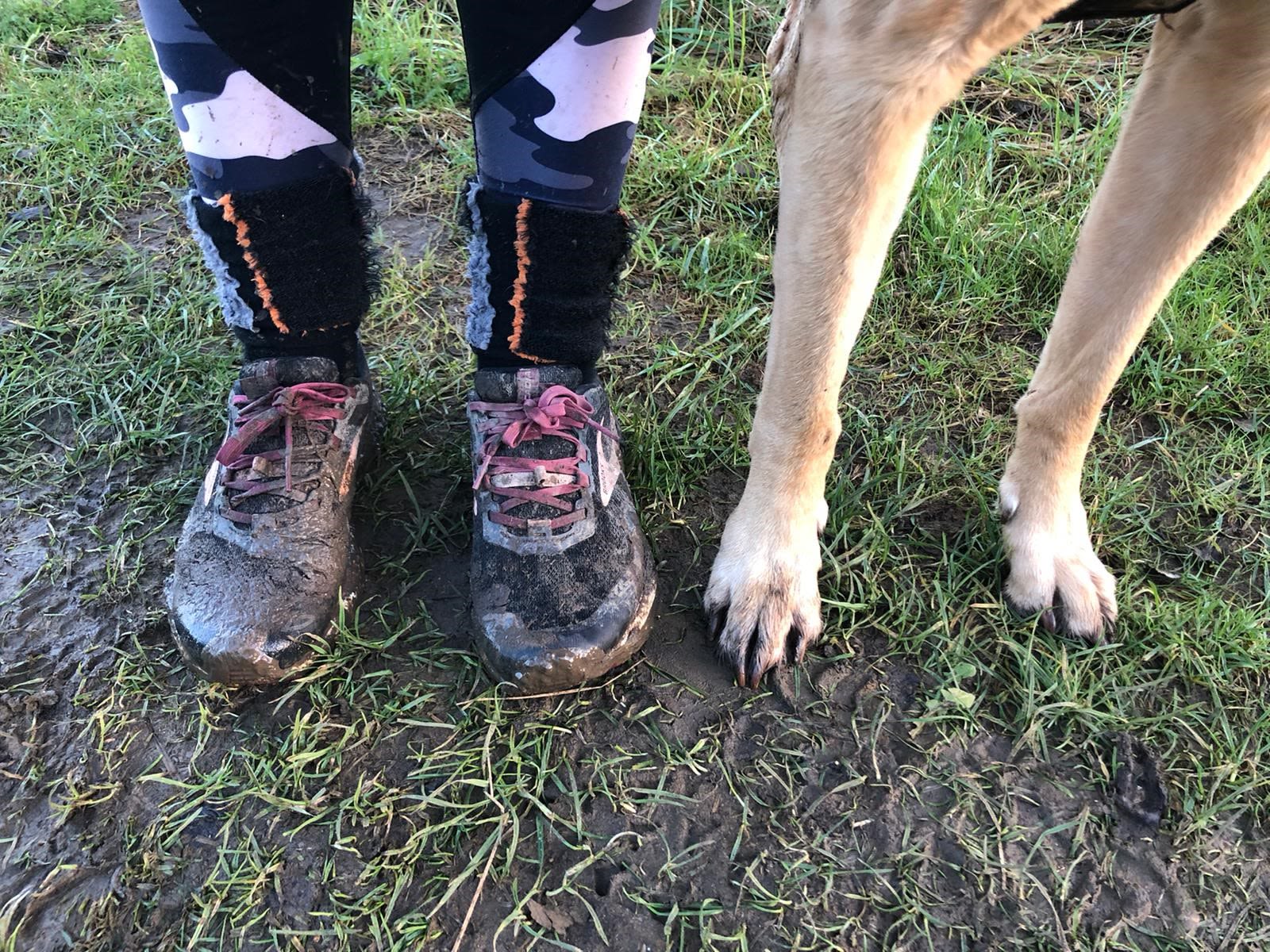 Muddy trainers and a dog's paws